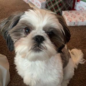 Meet your Posher, Alexia